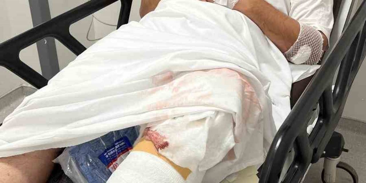 Türk Veteriner Hekimleri Birliği’nden Kayseri’de Saldırıya Uğrayan Veteriner Hekim Hakkında Açıklama