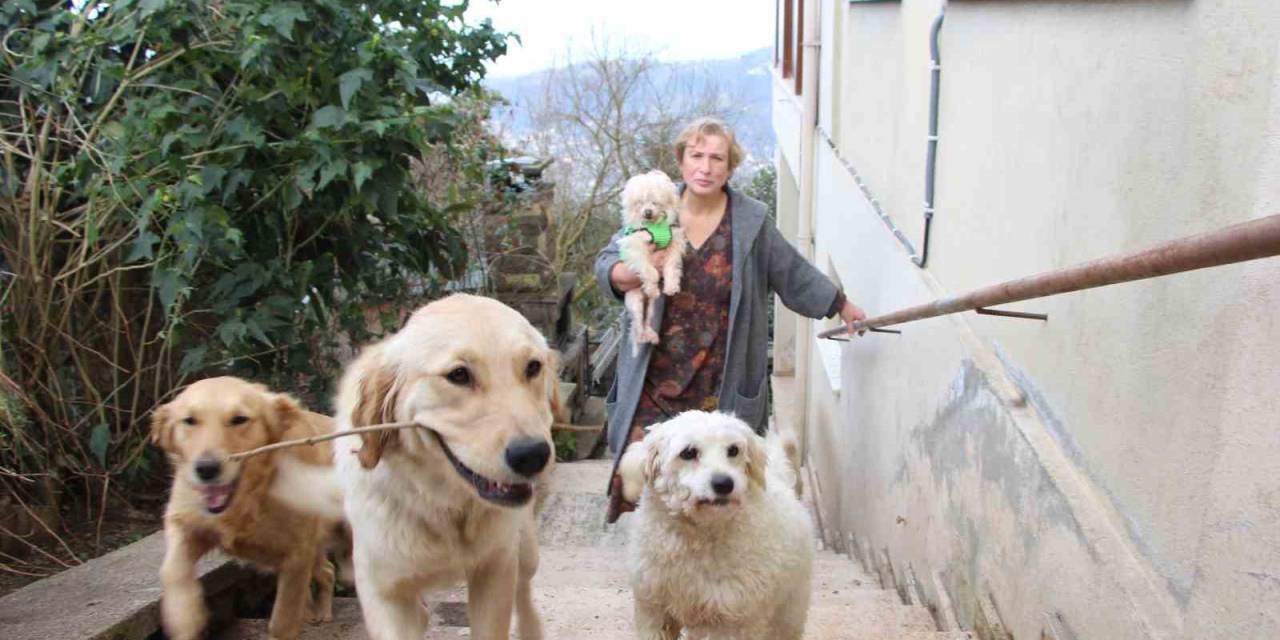 Sevimli Dostları Ona, O Da Onlara Nur‘Hayat’ Oldu