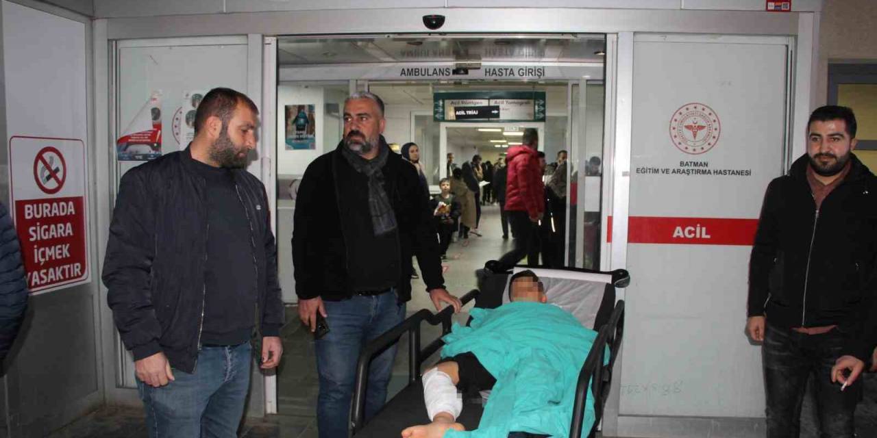 Batman’da Ailesiyle Pikniğe Giden Çocuğa Sokak Köpekleri Saldırdı