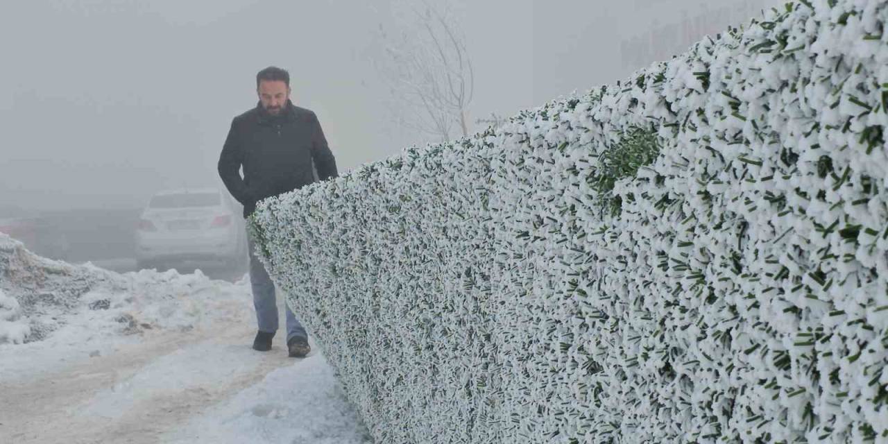 Bitlis’te Dondurucu Soğuk Etkili Oluyor: Ağaçlar Kırağıyla Kaplandı