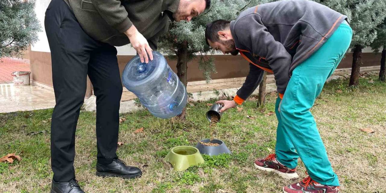 Can Dostları İçin Mama Ve Su Kapları Yerleştirildi