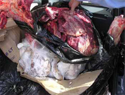 Rize'de Kaçak Et Yakalandı