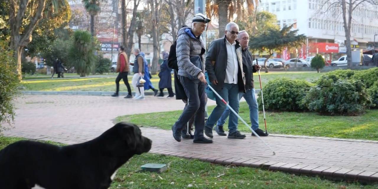 Görme Engellilerin Kabusu: Scooterlar, Sokak Köpekleri, Kaldırım İşgalleri