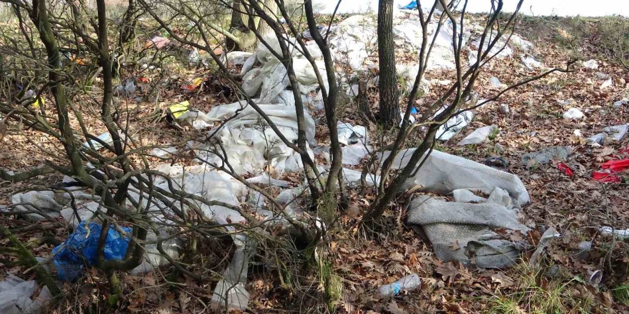 Tuzla’da Mesire Alanları Çöplüğe Döndü: Vatandaşlardan Tepki