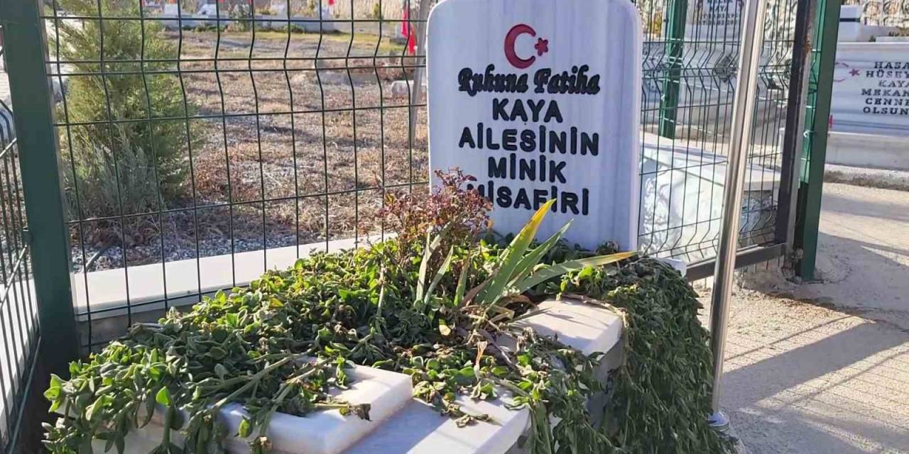 Aile Mezarlığının Minik Misafiri