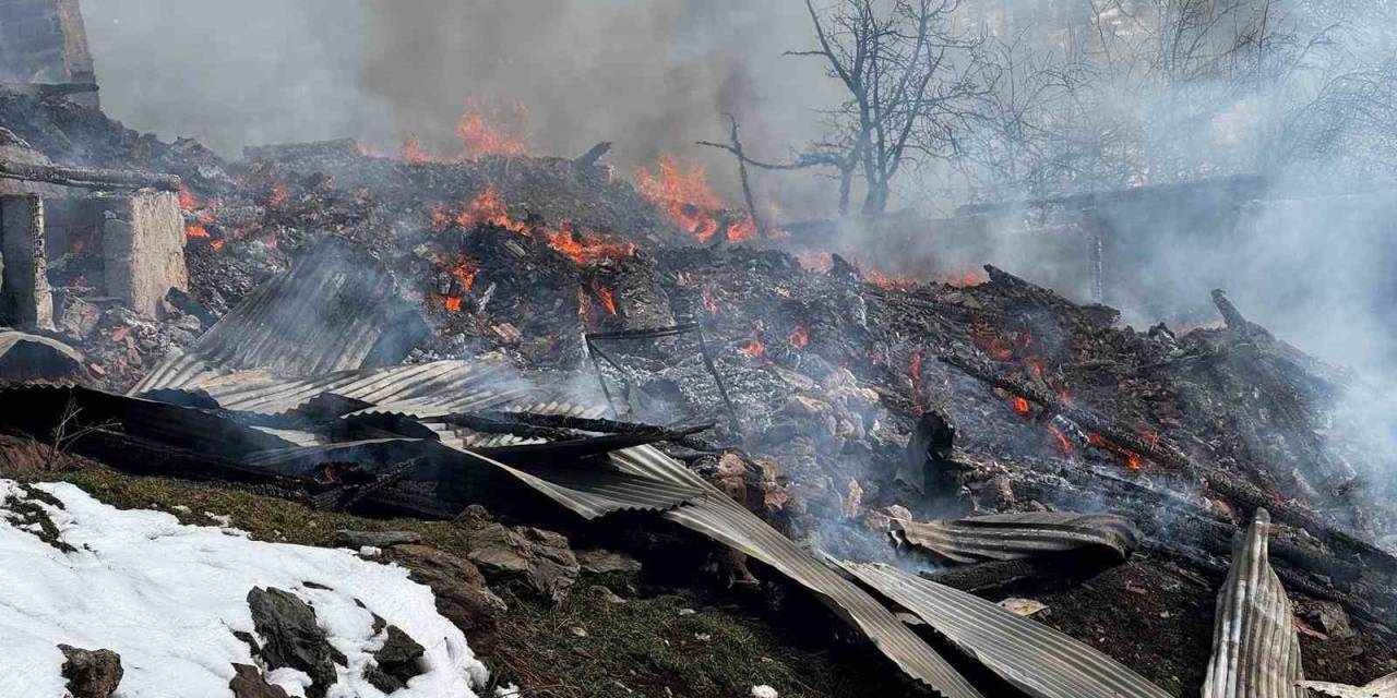 Alevlere Teslim Olan Ev Ve Ahırlar Küle Döndü, Yangın İçin Su Taşıyan Tanker Şarampole Devrildi