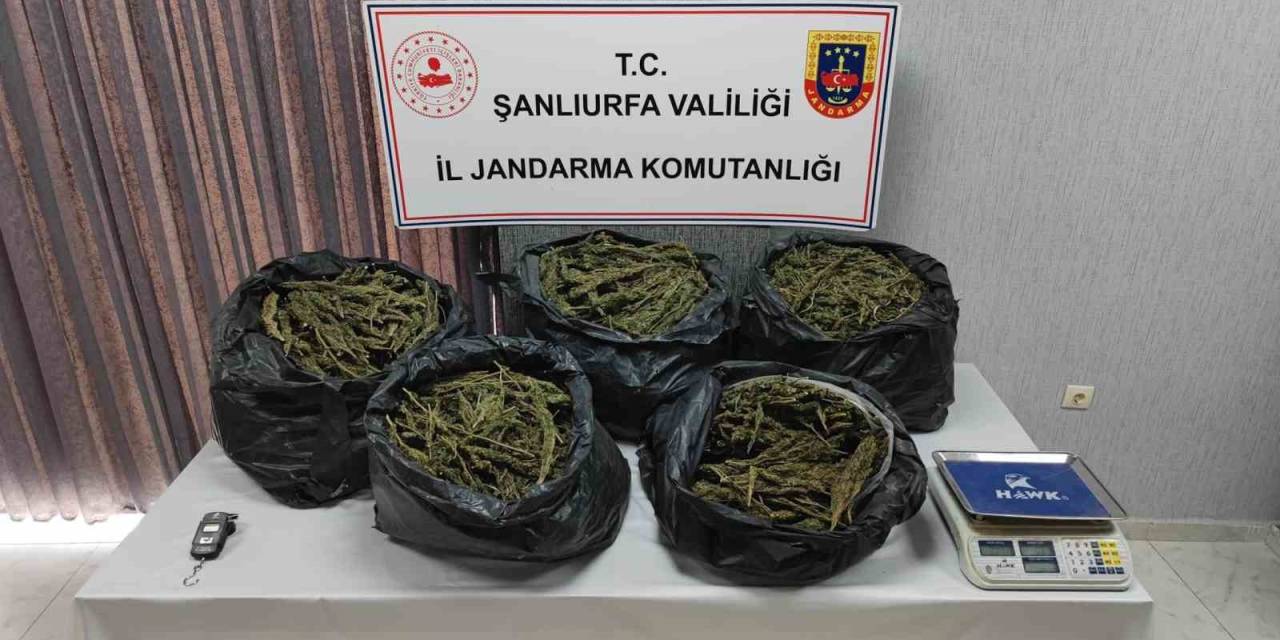 Şanlıurfa’da Silah Ve Uyuşturucu Madde Ele Geçirildi: 7 Gözaltı