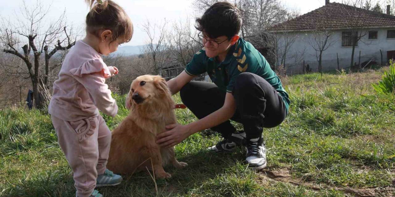 Alex Yeni Yuvasına Kavuştu