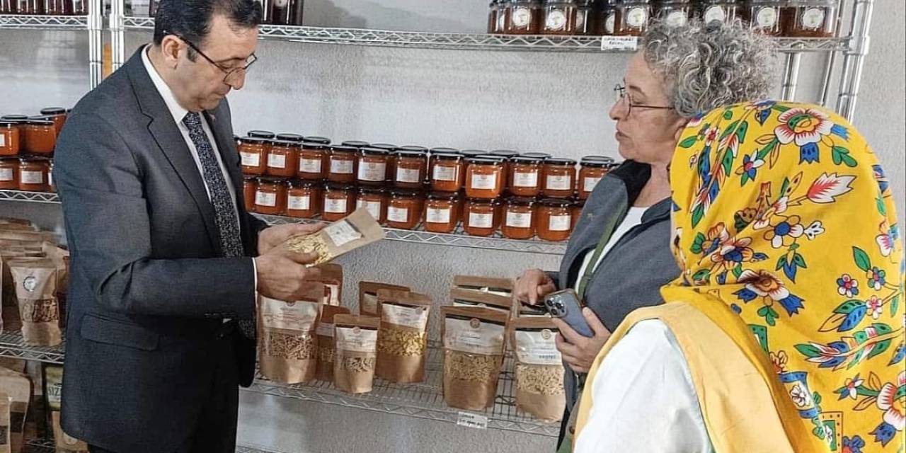 İl Tarım Ve Orman Müdürü Ergün Demirhan, Ayvacık’ta İncelemelerde Bulundu