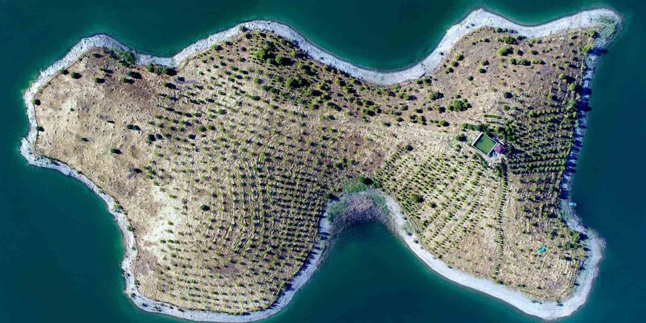 "Robinson Crusoe" Ziya Dede Hastalandı, Adaya Belediye Başkanı Sahip Çıktı