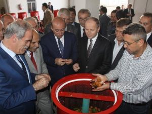 Büyükşehir’den İnegöl Köylerine Ceviz Soyma Makinesi