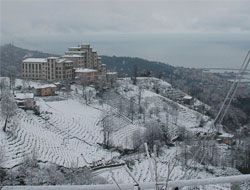 Rize'de Kar Yağışı