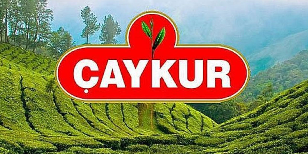 2025 Yılı Yaş Çay Fiyatı Açıklandı