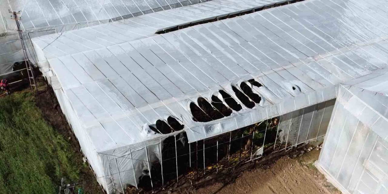 Mersin’de Yangın Nedeniyle 2 Sera Zarar Gördü