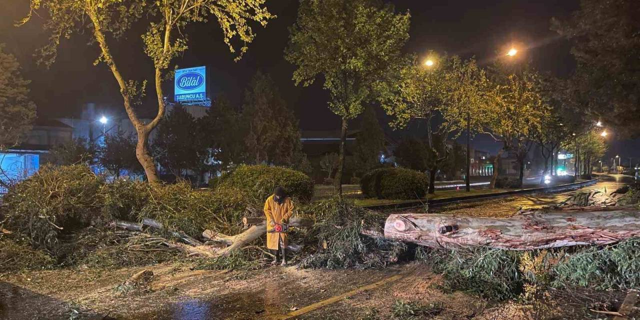 Aydın Büyükşehir Belediyesi’nden Şiddetli Yağış Ve Fırtınaya Karşı Hızlı Müdahale