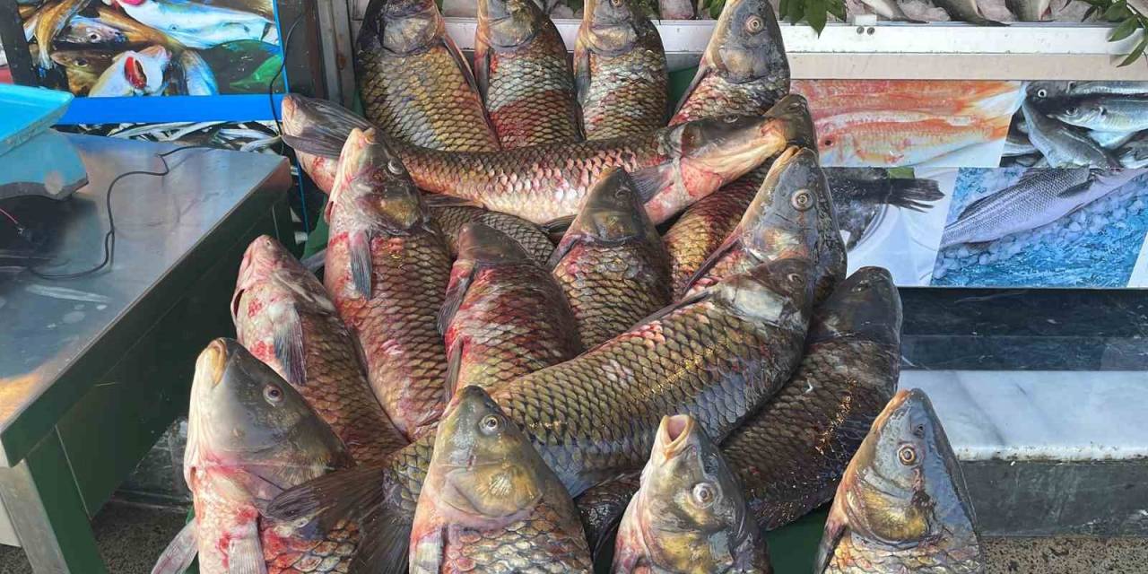 Erzincan’da İç Sularda Av Yasağı Başladı