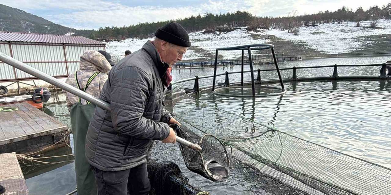 Deniz Olmayan Tokat’ta Balıkçıların Bayram Mesaisi