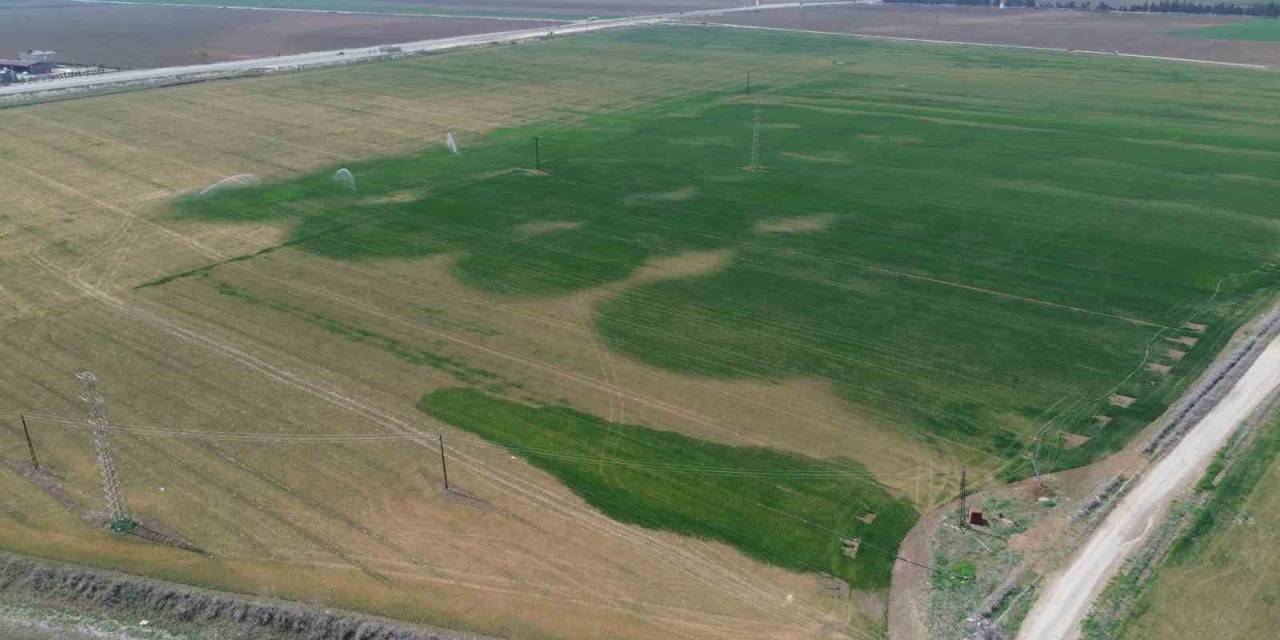 Kuraklığın Etkisiyle Yarıkların Oluştuğu Amik Ovası İçin Bilim Adamından Kritik Uyarı