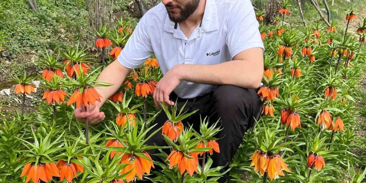 20 Günlük Ömrü Var, Zarar Vermenin Cezası 244 Bin Lira