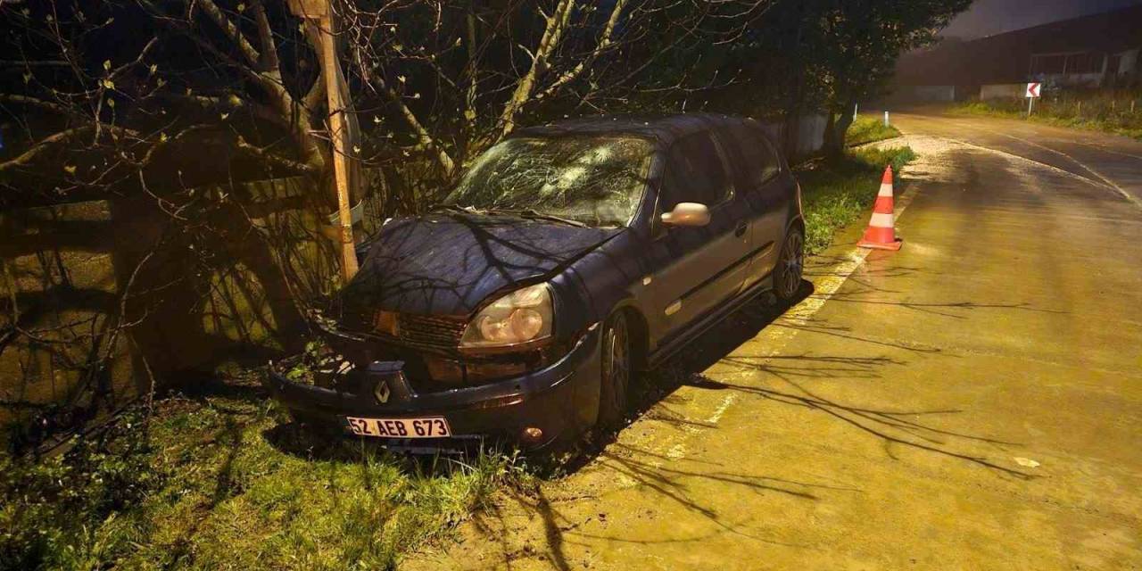 Otomobil Elektrik Direğine Çarptı: 3 Yaralı