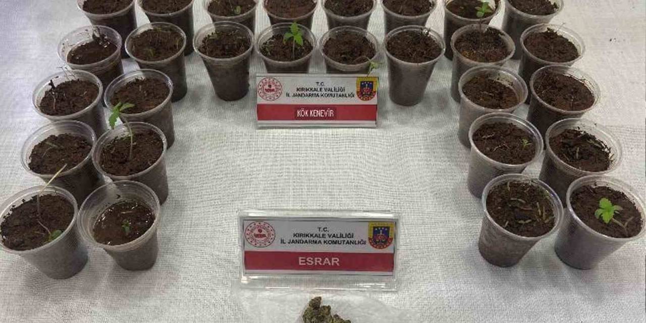 Bagajdan Bardak Bardak Kenevir Çıktı: Uyuşturucuyla Yakalanan Şüpheli Tutuklandı