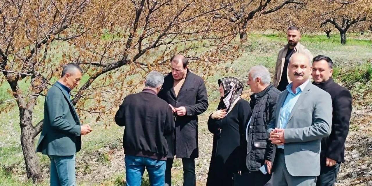 Baskil’de Dondan Etkilenen Meyve Bahçelerinde İnceleme
