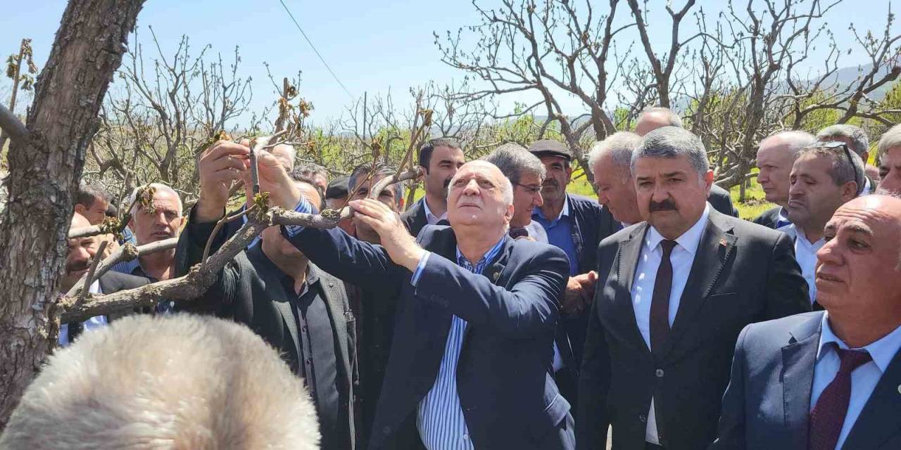 Tzob Genel Başkanı Şemsi Bayraktar Zirai Don Vuran Bahçeleri İnceledi