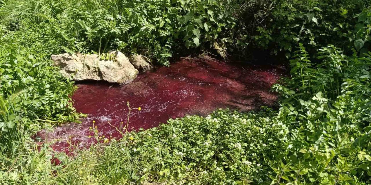 Bursa’da Bu Dere ‘Kan’ Ağlıyor