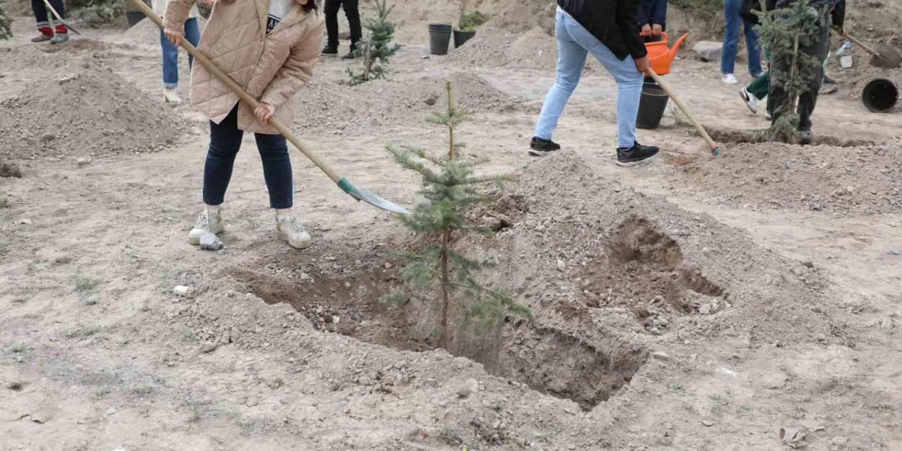 Melikgazi’nin Yeşil Dokusu Güçleniyor