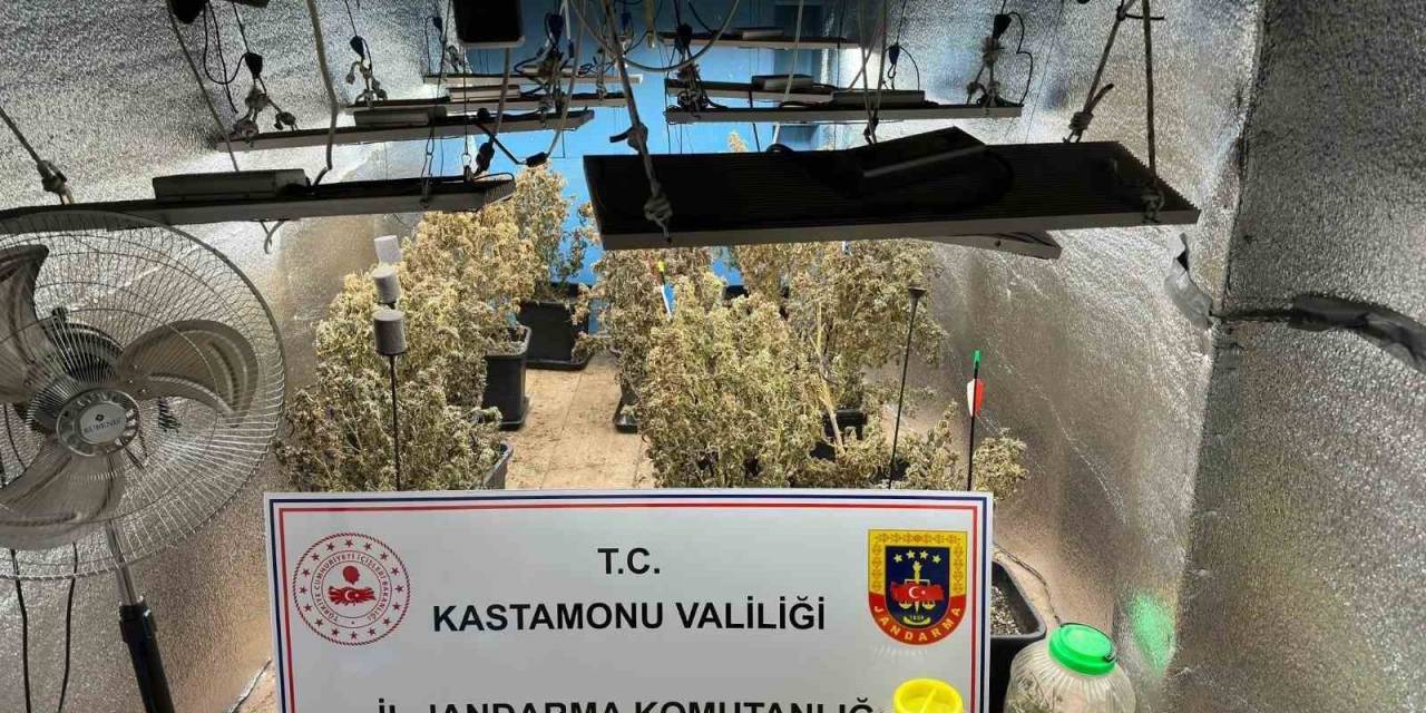 Çiftlik Evlerini Kenevir Serasına Çeviren Sanıkların Yargılanmasına Devam Edildi