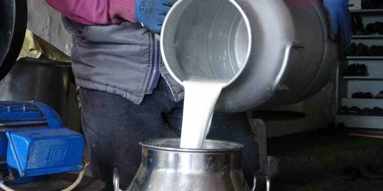 Ardahan’da Süt Üreticileri Düşük Fiyatlardan Şikâyetçi