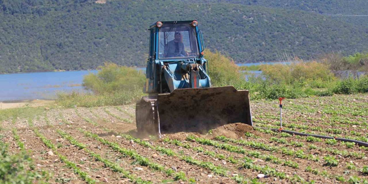 Devlet Çiftçiye "Ekin" Diyor, Dsi Ekili Alanları Düzlüyor