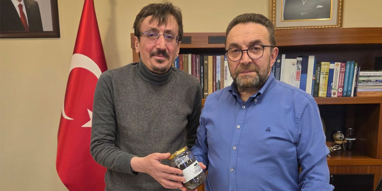 Rize'den Dünyaya Yenilikçi Çay: Probiyotikli Siyah ve Yeşil Çay Geliştirildi