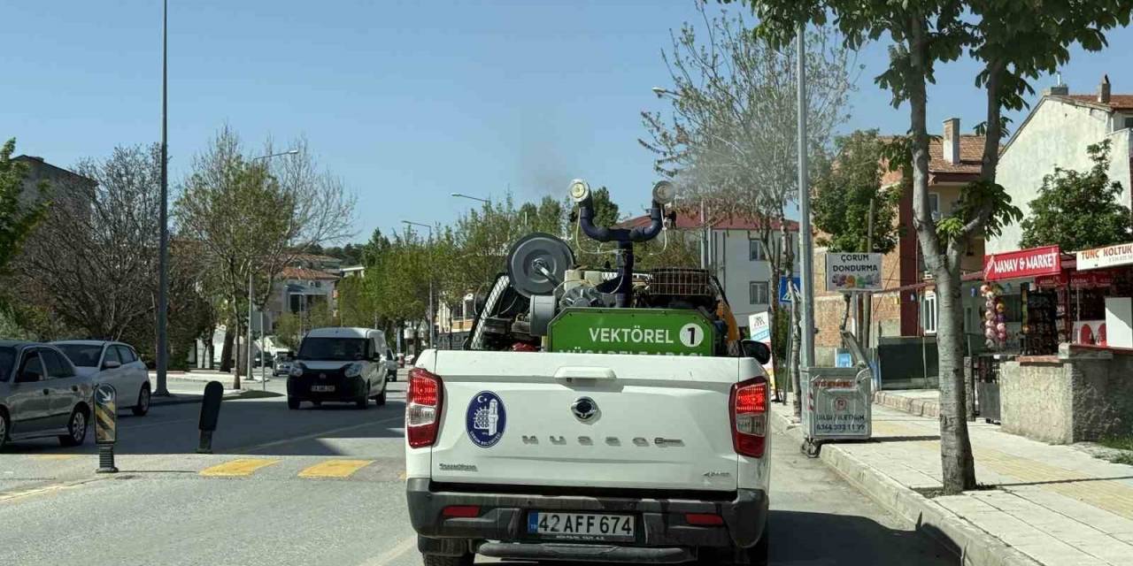 Çorum Belediyesi Ekipleri Vektörel Mücadele İçin Gece-gündüz Sahada