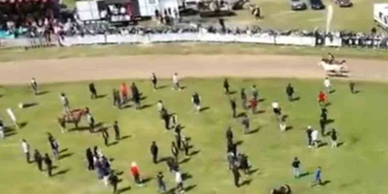 Jokeyi Üzerinden Attı, Yarışa Devam Etti
