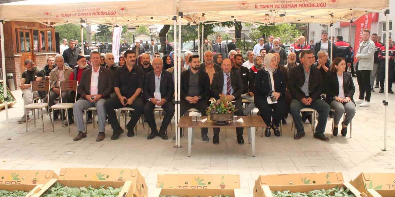 Atıl Tarım Arazilerinde Sebze Yetişecek