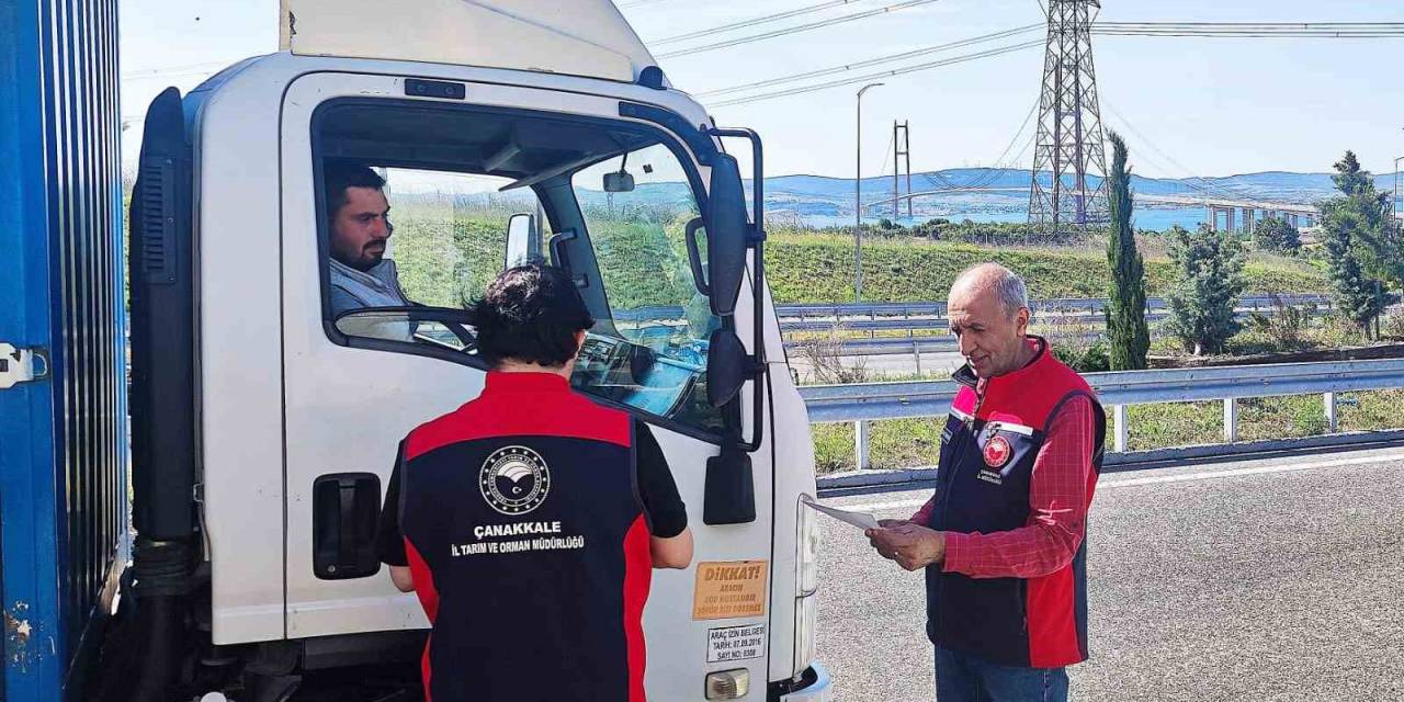 Çanakkale’de Kurban Bayramı Öncesi Hayvan Denetimleri Devam Ediyor