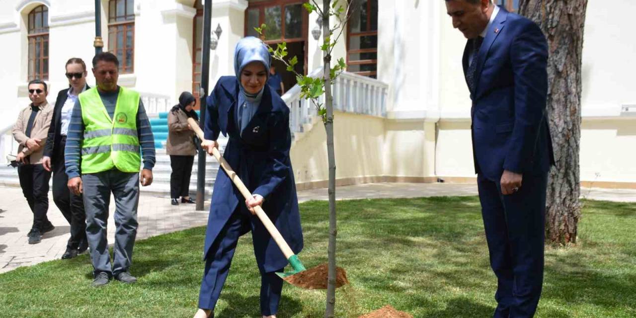 Bakan Mahinur Özdemir Göktaş, Bilecik’te Adına Hazırlanmış Yere Çınar Fidanı Dikerek Can Suyu Verdi