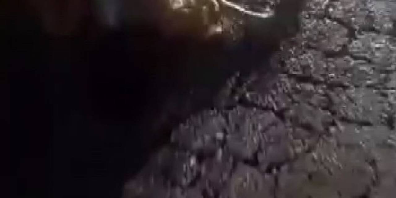 Otomobilin Çarptığı 10 Küçükbaş Hayvan Telef Oldu