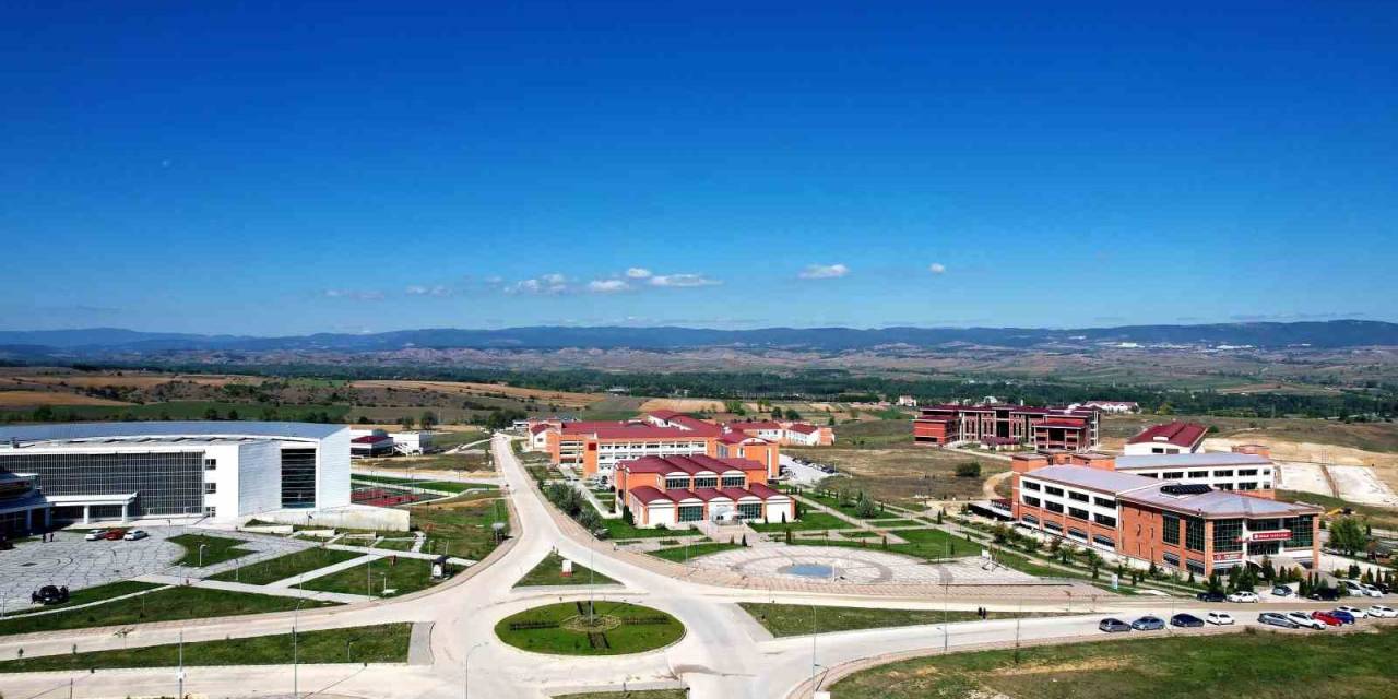 Kastamonu Üniversitesi’nde Hayvansal İlaçlardaki Mikroplastik Tehlikesi Araştırılacak