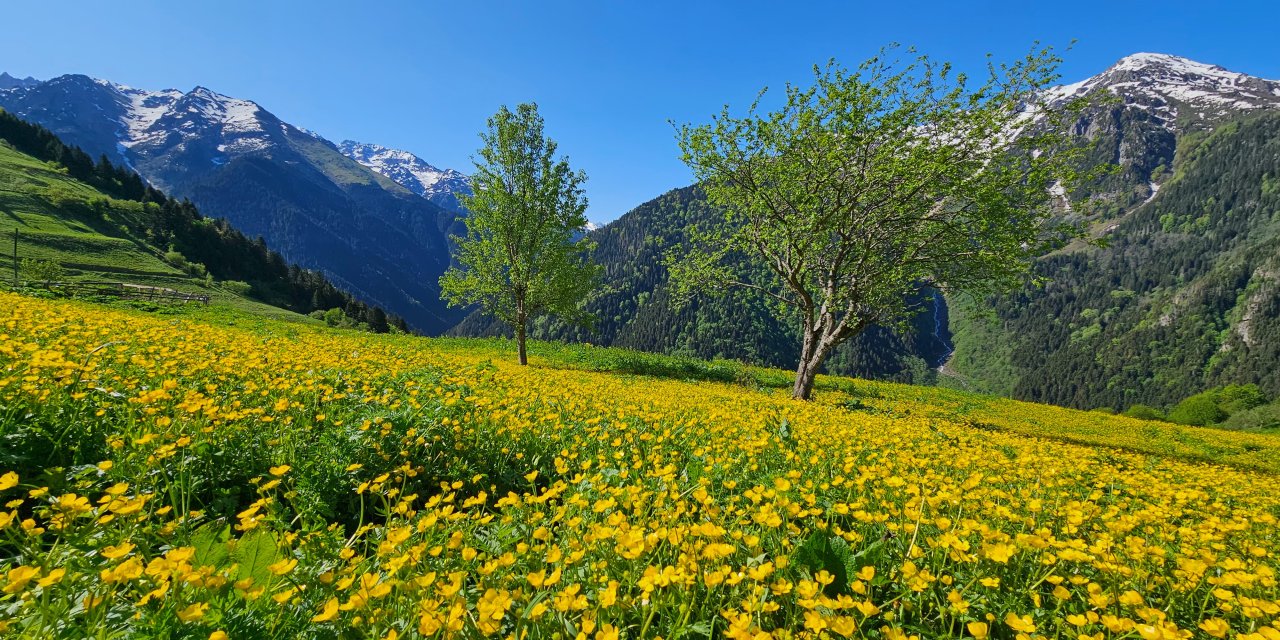 Rize Kaçkarların doğa harikası yaylaları