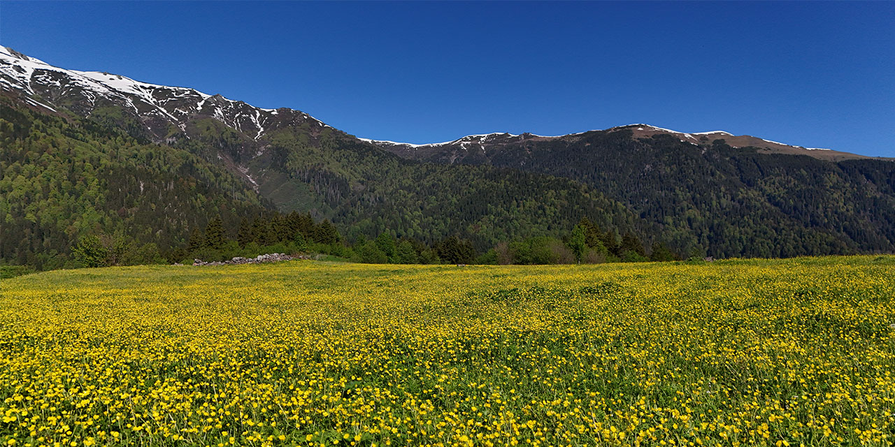 Rize Kaçkarların doğa harikası yaylaları