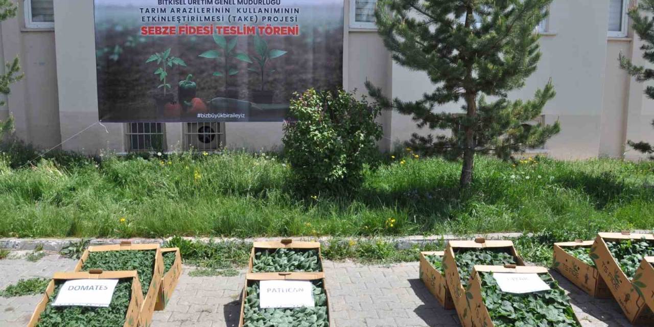 Kars’ta Binlerce Sebze Fidesi Dağıtıldı