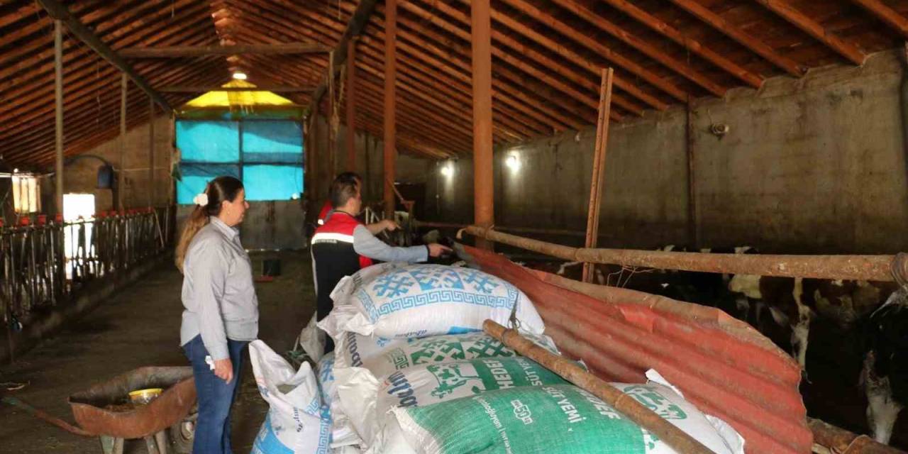 Erzincan’da Kadın Muhtar, Hayvancılıkta Örnek Oluyor