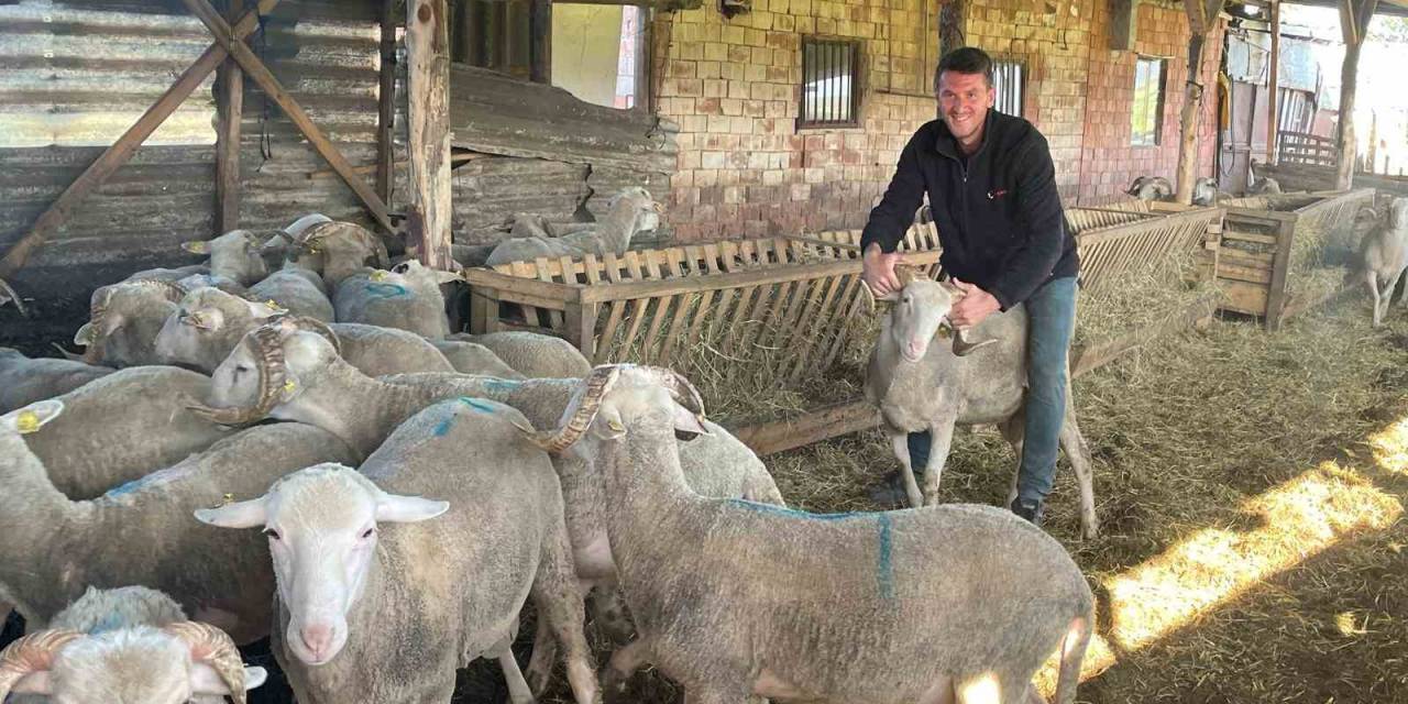 Kurbanlıkları Satıp Kazancıyla Temmuz Ayında Evlenecek