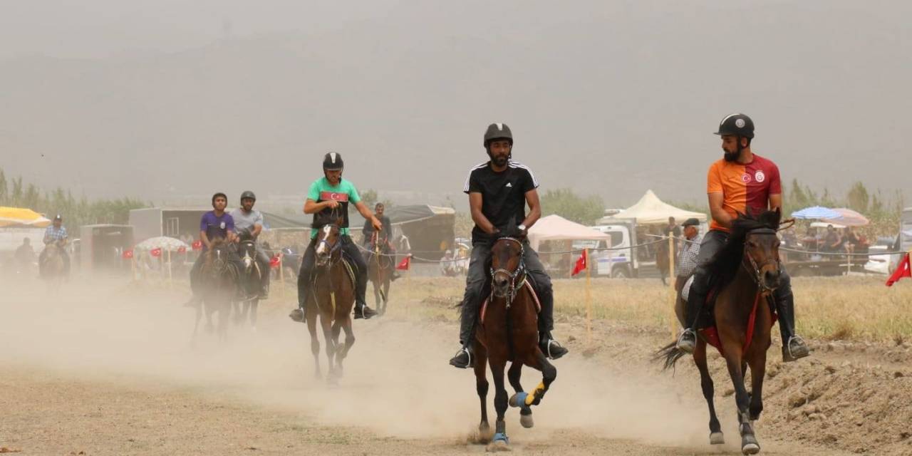 Yenipazar’da Geleneksel Rahvan Yarışları Nefes Kesti