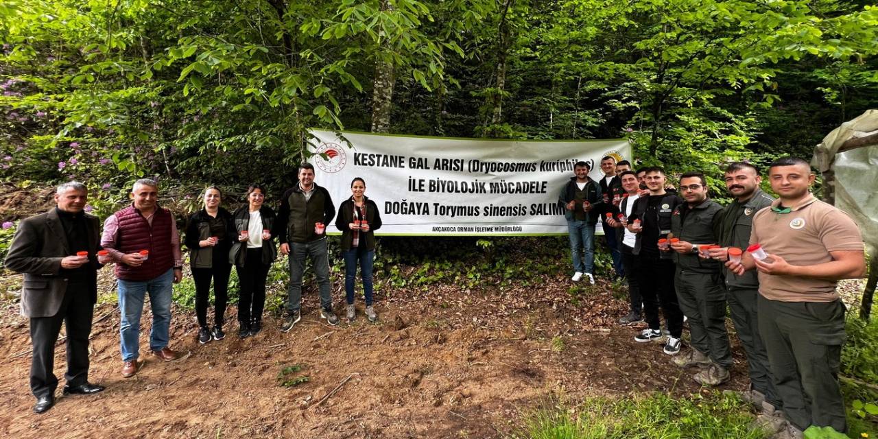 4 Bin Adet Savaşçı Böcek Salındı