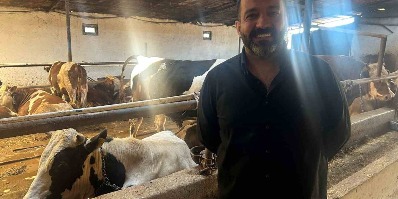 Bayrama Sayılı Günler Kala Bazı Üreticide Kurbanlık Hayvanlar Tükendi