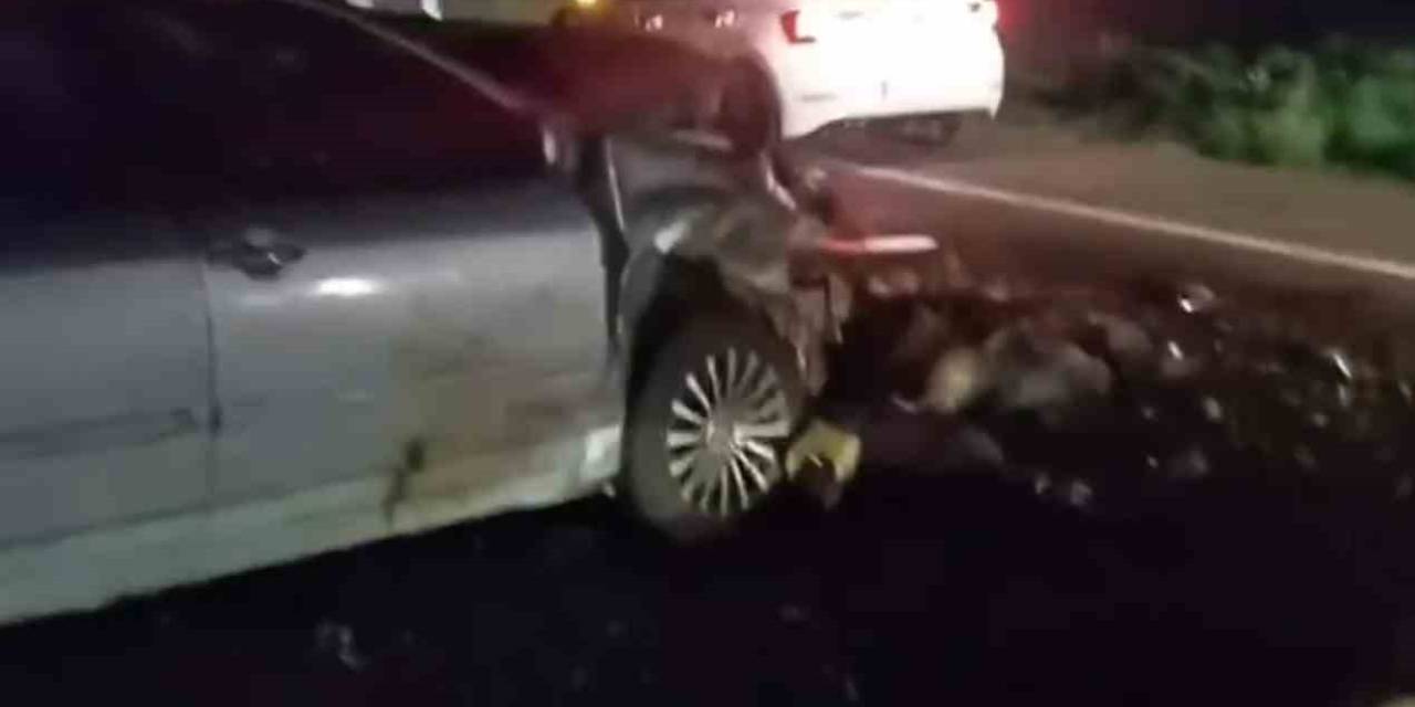 Iğdır’da Otomobil Hayvan Sürüsüne Çarptı: 25 Koyun Telef Oldu