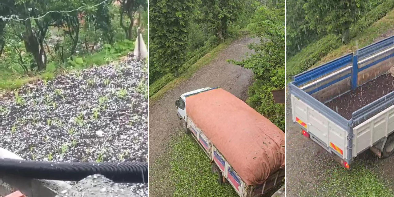 Çay üreticilerine dolu sürprizi